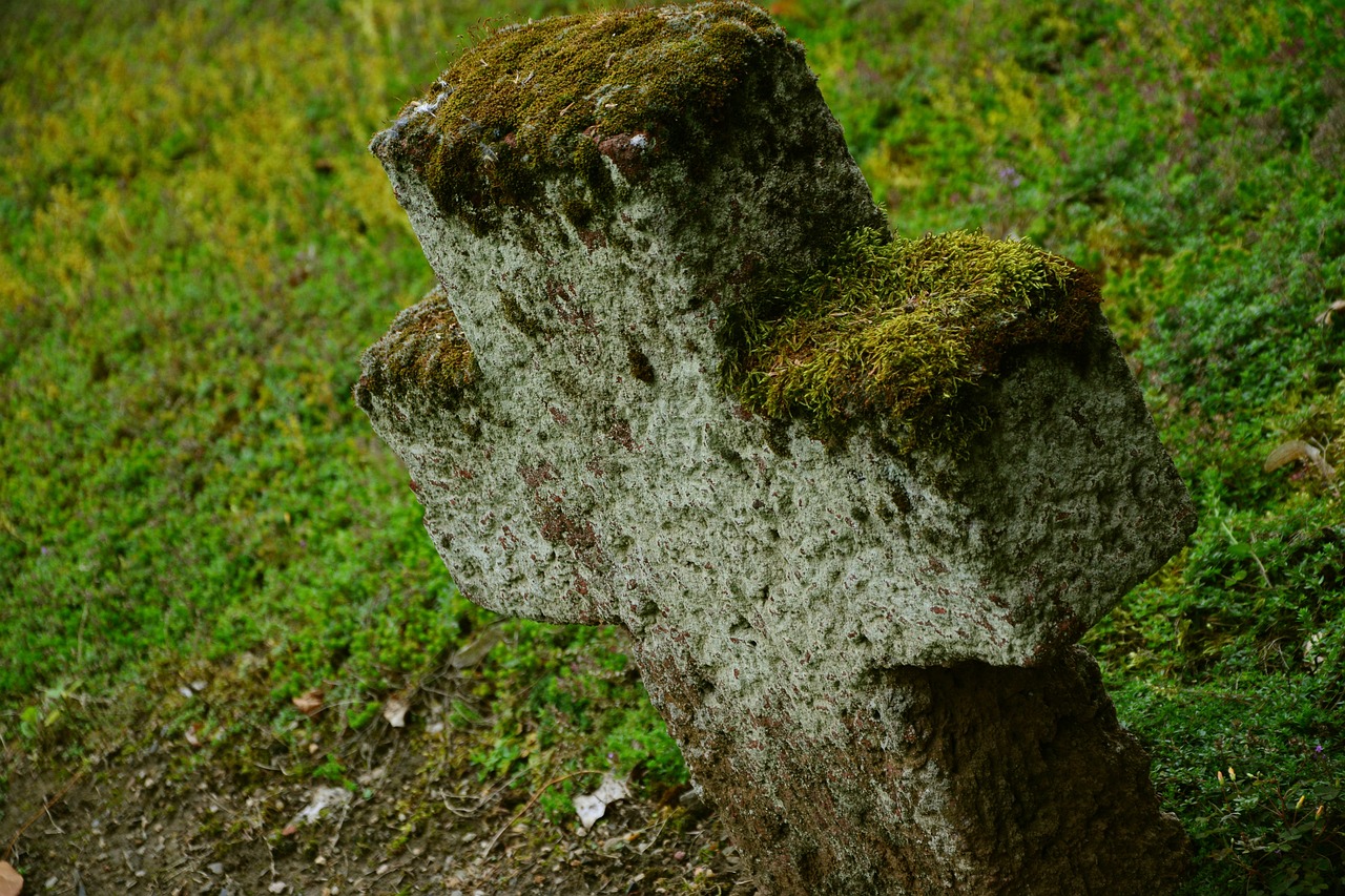 Are Human Bodies Recyclable - The Concept of Natural Burial